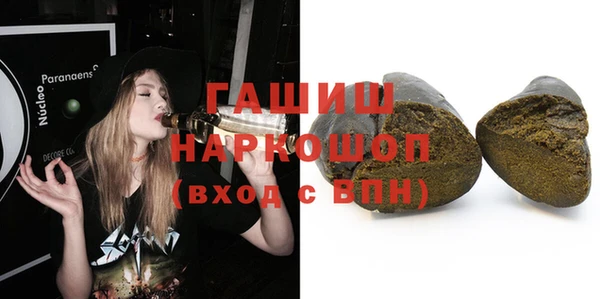 гидра Алексин