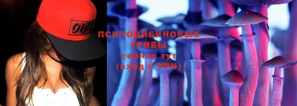 винт Алзамай
