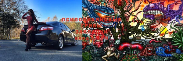 шишки Алексеевка