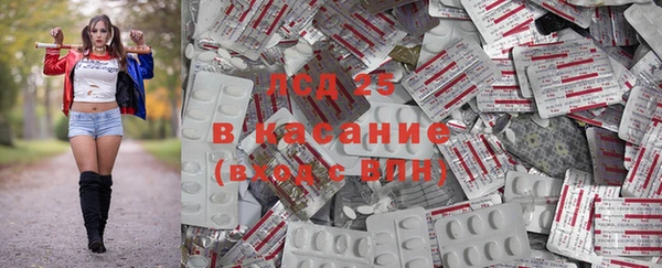 винт Алзамай