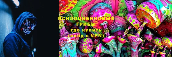 гидра Алексин