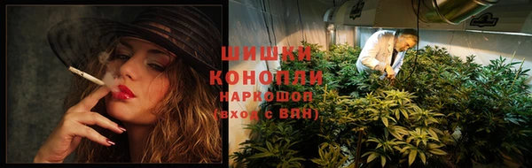 дживик Ростов